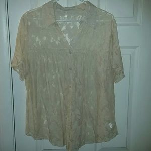 Plus size lace blouse, button down